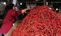Harga Cabai Melambung, Kementan Pastikan Stok Cabai Aman