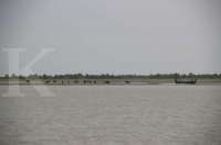 Bangladesh sediakan tempat khusus bagi pengungsi Rohingya di sebuah pulau terpencil