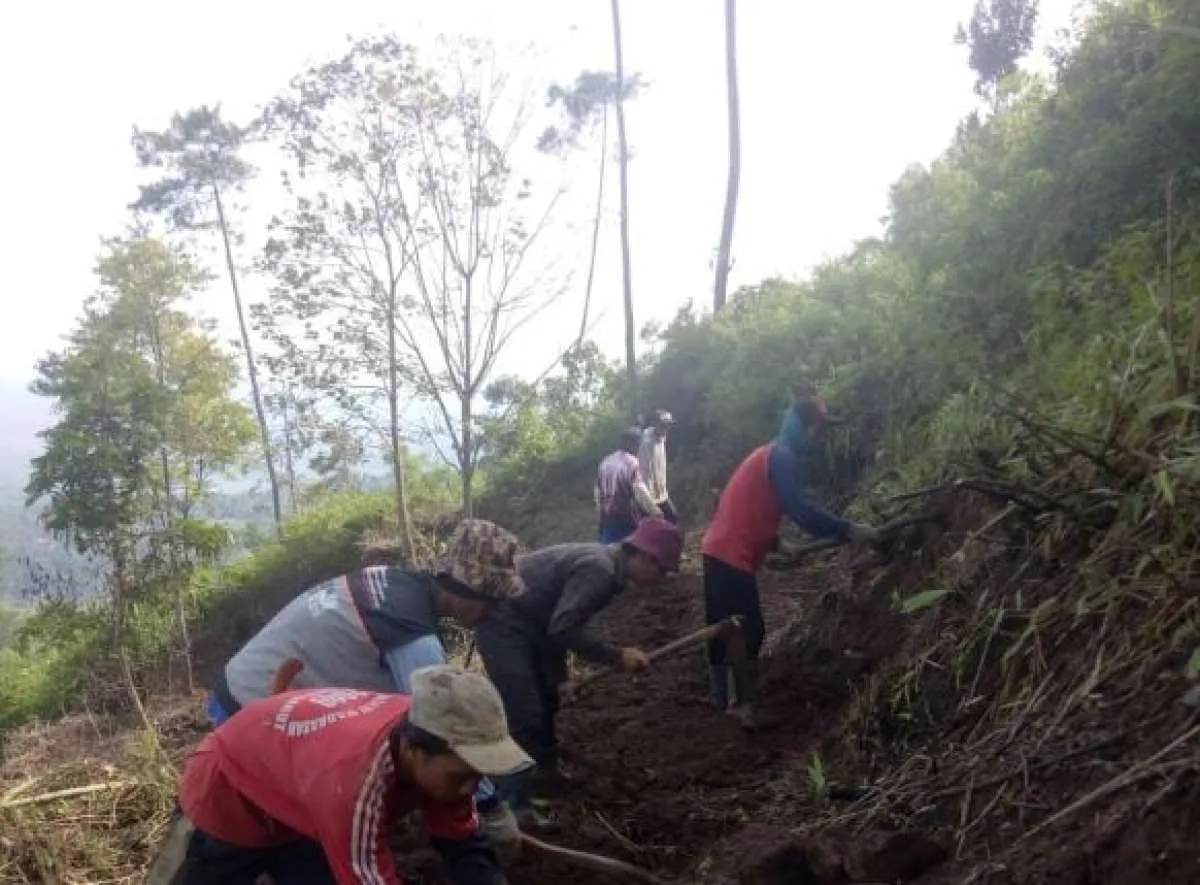 Melihat geliat petani lereng gunung bangkit dari Covid-19