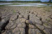 Musim Kemarau Tahun 2024 Ini Berbeda, Ini Penjelasan BMKG