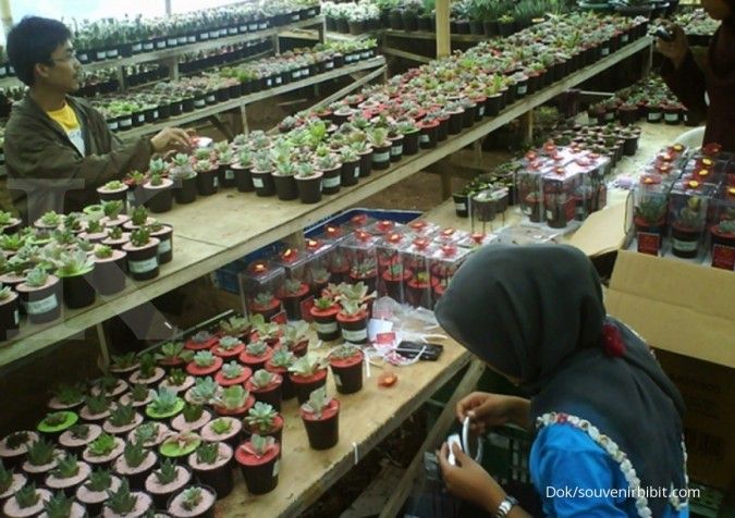 Kementerian Pertanian genjot ekspor tanaman hias