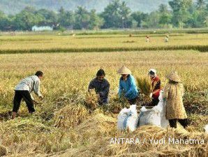 Produksi gabah dipatok naik 5%, pengadaan dalam negeri ditargetkan 3,5 juta ton