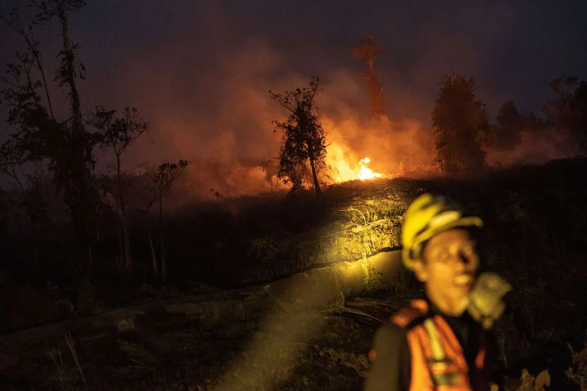 Indonesia Inspects 19 Companies Linked to Wildfires, Official Says