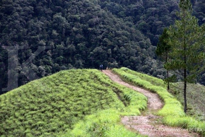 Sulteng rehabilitasi 7.000 Ha hutan lahan krisis