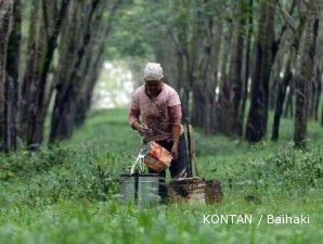 Produksi karet tahun 2011 akan naik 8%