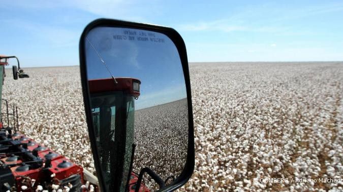 Harga kapas turun, laba Indorama anjlok 93%