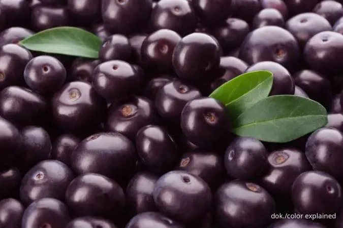 Makanan berwarna ungu: Acai berry