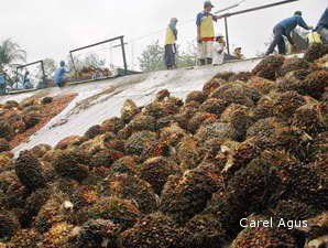 Harga CPO Naik, Harga Minyak Goreng Bakal Terkerek