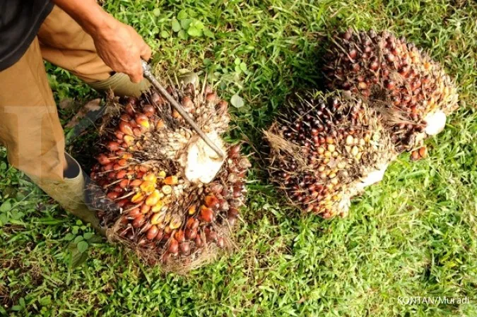 Campaigns on sustainable palm oil needed in Europe