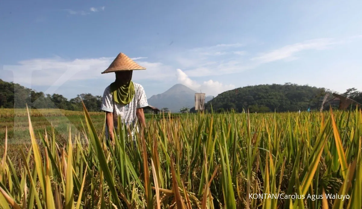 Kementan sebut rencana aksi rawan pangan akan terbentuk sebelum 2020