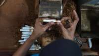 Wismilak Inti Makmur (WIIM) Bidik Pertumbuhan Penjualan Rokok 20% pada 2025