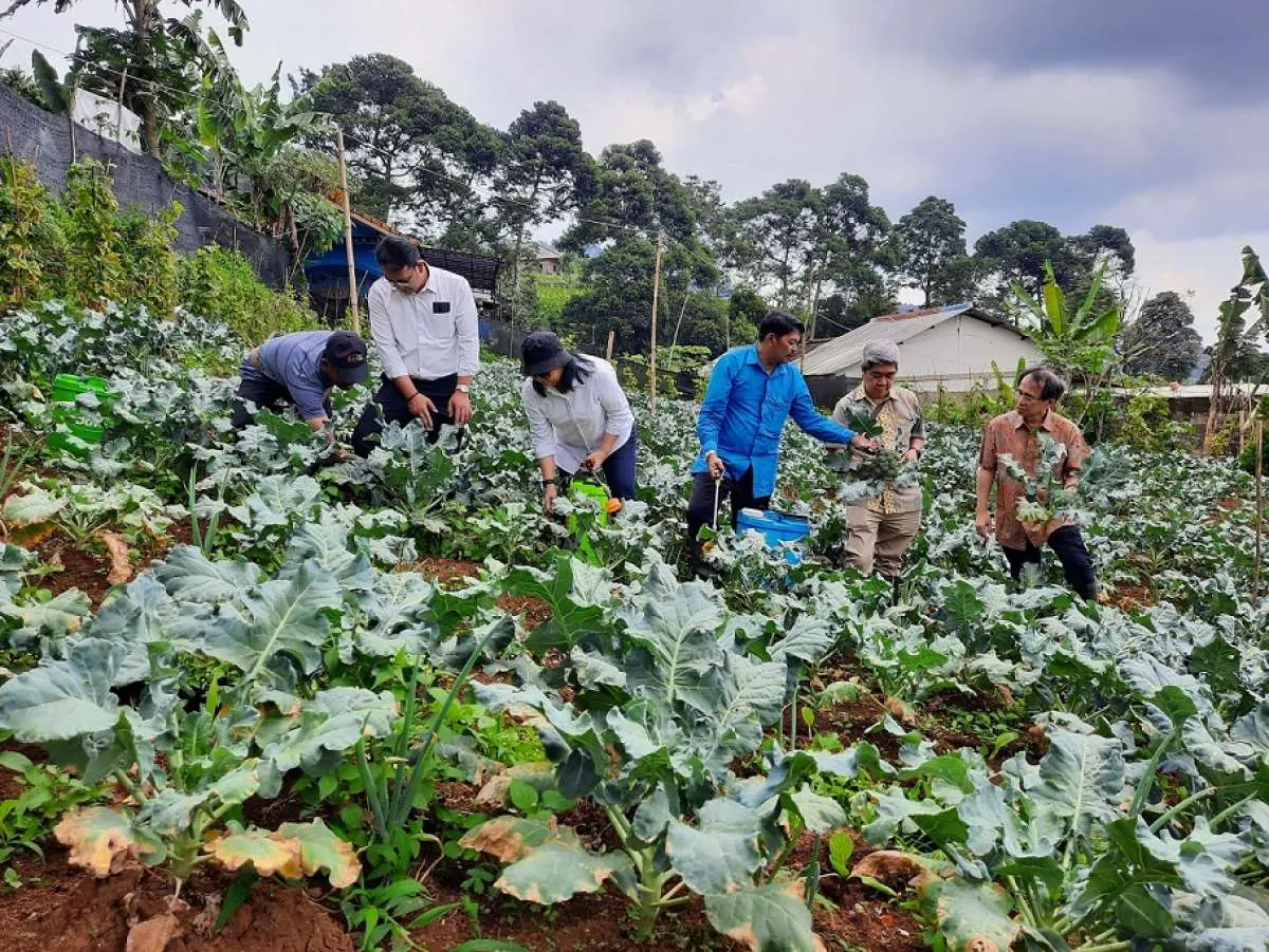 YDBA, PIP dan Kemenkeu Launching Program Pembinaan UMKM Pertanian di Puncak Dua Jabar