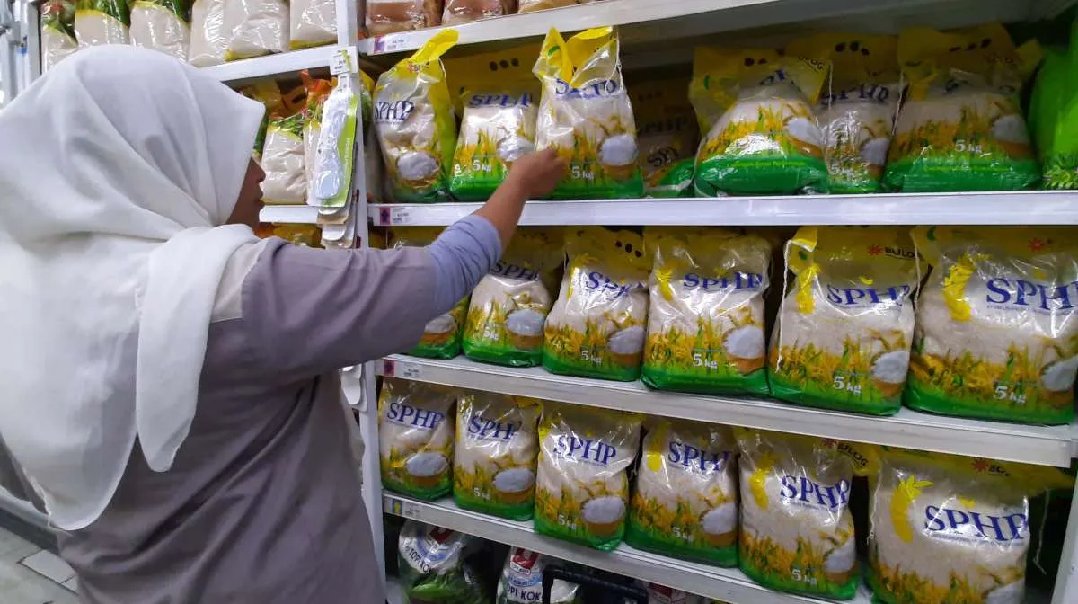 Pemerintah Diminta Tetapkan Zona Darurat Pangan di Wilayah Bencana Sumatra