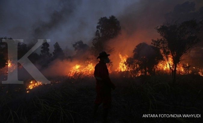 Negara diminta tanggung kebakaran hutan konservasi