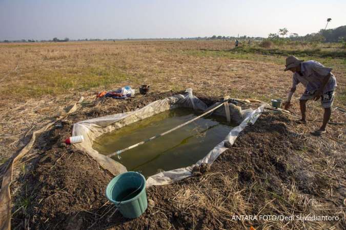 Pemerintah Merancang Stimulus Hadapi El Nino