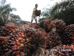 Cadangan diramal membludak, harga CPO melandai