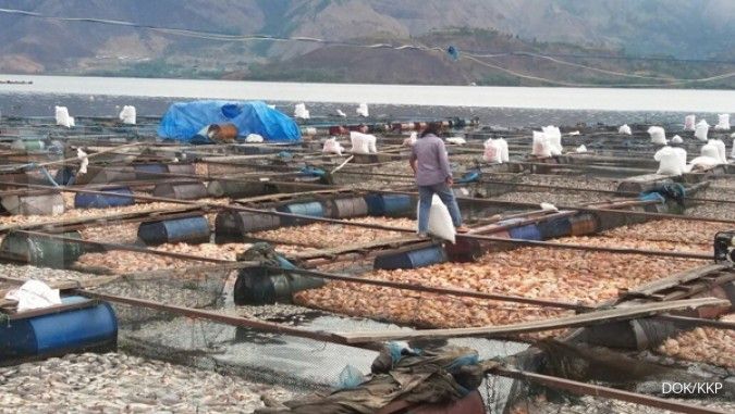 KKP tangani kematian massal ikan di Danau Toba