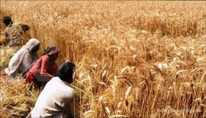 Global Food Export Bans Around The World