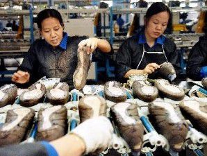 Sebanyak 17 investor asing buka pabrik sepatu di Indonesia tahun ini