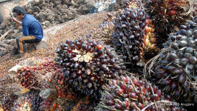 Spekulasi stok tetap tinggi, harga CPO tumbang