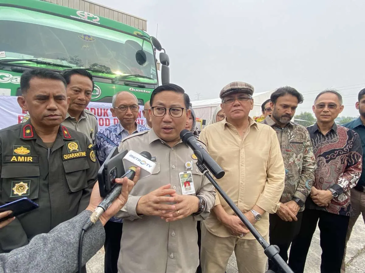 Pemerintah Buka Keran Impor Sapi dari Brasil & AS, Targetkan 1 Juta Ekor hingga 2029