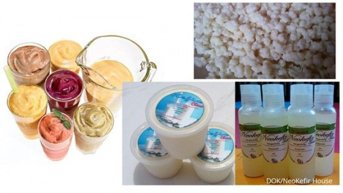 Susu Fermentasi (Kefir) Bisa Mencegah Anjing Peliharaan Sakit