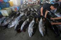 ICA-CEPA Buka Peluang Besar Ekspor Hasil Laut Indonesia ke Pasar Kanada