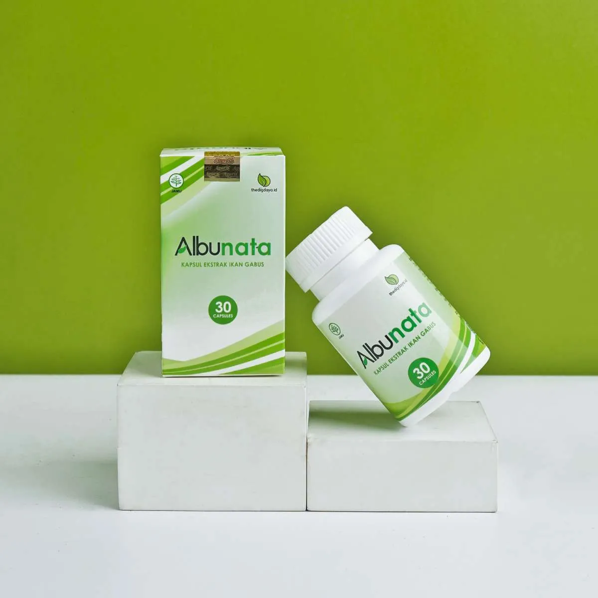 Manfaat Ekstrak Ikan Gabus untuk Penyembuh Luka