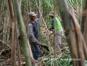 Tahun ini, rendemen tebu PTPN membaik