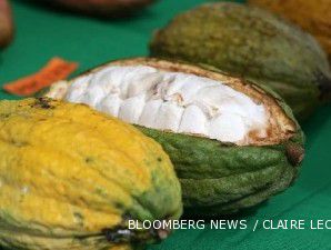 Kiriman kakao dari Bahia Brasil anjlok 25%