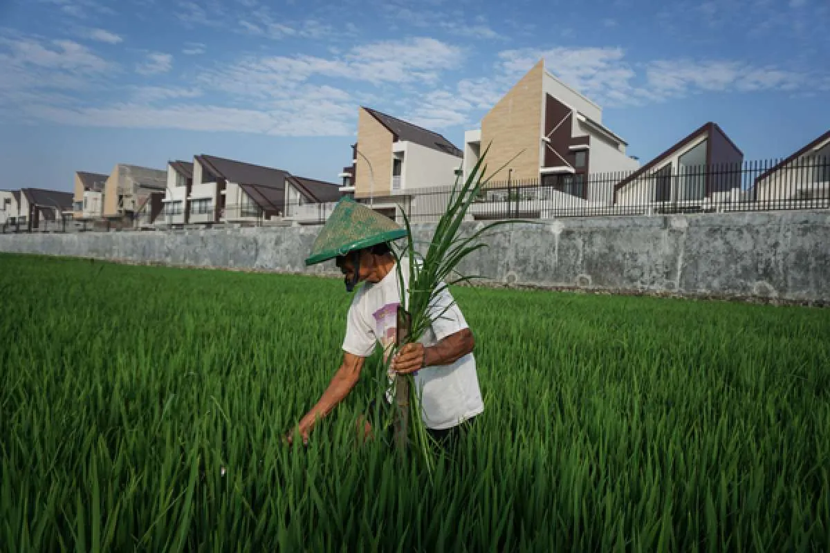 Pemerintah klaim kendalikan alih fungsi lahan sawah secara ketat