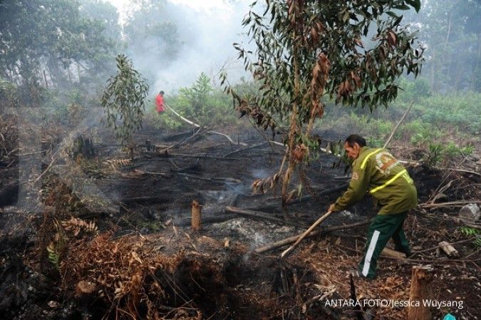 Jokowi minta KLHK ambil alih lahan gambut terbakar
