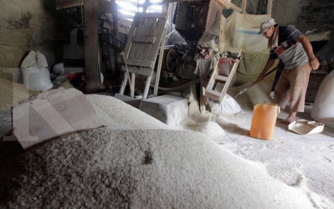 BPS Prediksi Produksi Beras pada Kuartal I-2026 Meningkat Capai 10,16 Juta Ton