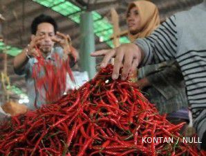 Produksi meningkat, harga cabai terus melorot