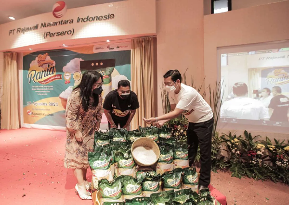 Penggabungan BUMN Pangan akan perbaiki ekosistem pangan di Indonesia