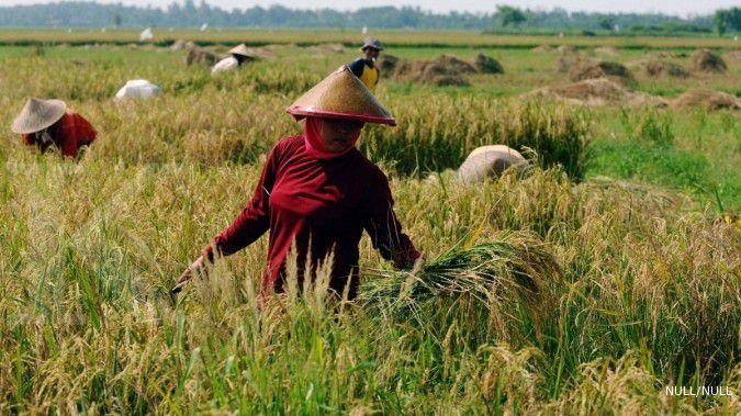 BI minta cakupan kredit bagi petani diperluas