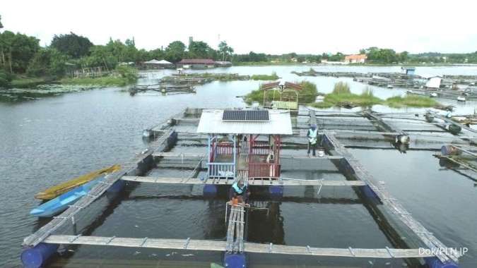 PLN Indonesia Power Pasang 2.000 Watt Peak PLTS di Keramba Nelayan Pasuruan
