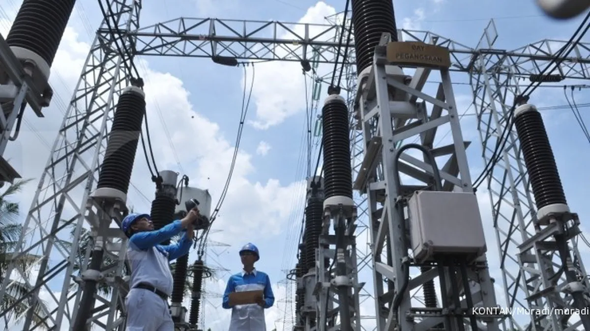 Todung menilai ada kriminalisi di kasus LTE PLN