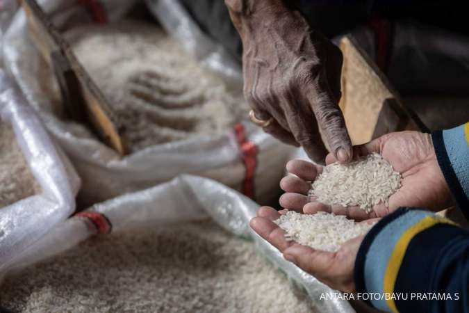 Harga Pangan Hari Ini (24/9) : Beras, Bawang Merah, Cabai hingga Jagung Naik