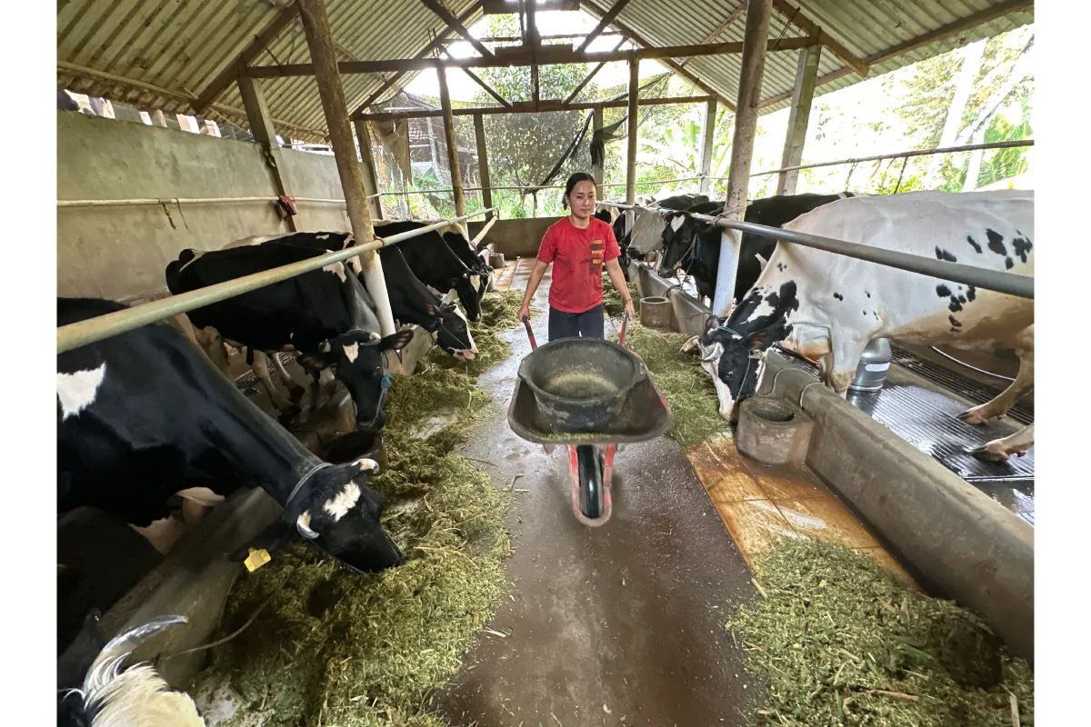 Program Desa BRILian dari BRI Tumbuhkan Ekonomi Desa Wonoagung 