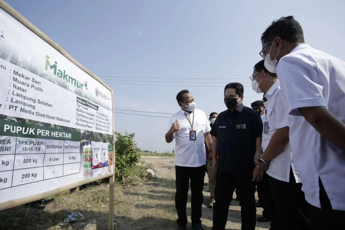 Erick Thohir sebut petani Lampung dapat pendampingan program Makmur Pupuk Indonesia