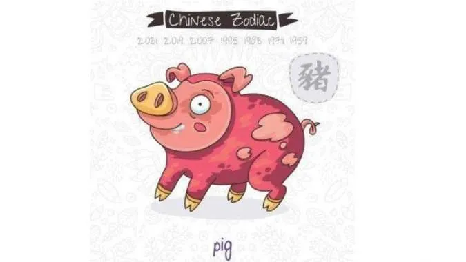 Ramalan Shio Hari Ini Jumat 12 Juni 2026, Tikus Bersinar hingga Babi Banyak Rezeki