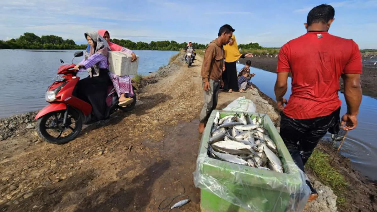 Cuaca Aceh Hari Ini Sabtu (7/3): Mayoritas Daerah Diprediksi Cerah di Akhir Pekan