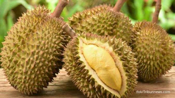 Kandungan nutrisi Durian 