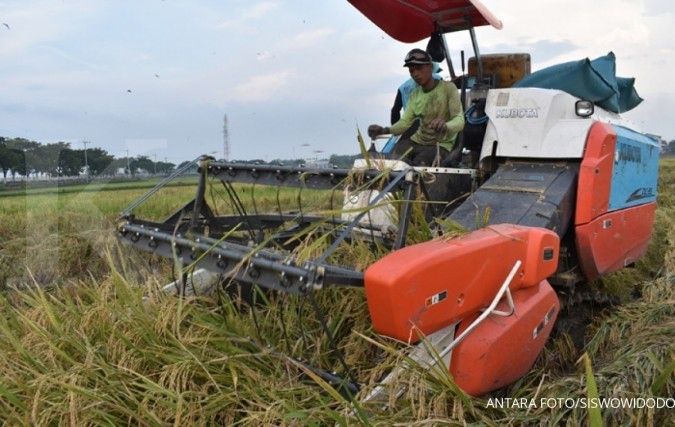 Kemtan menargetkan tak impor beras di 2017