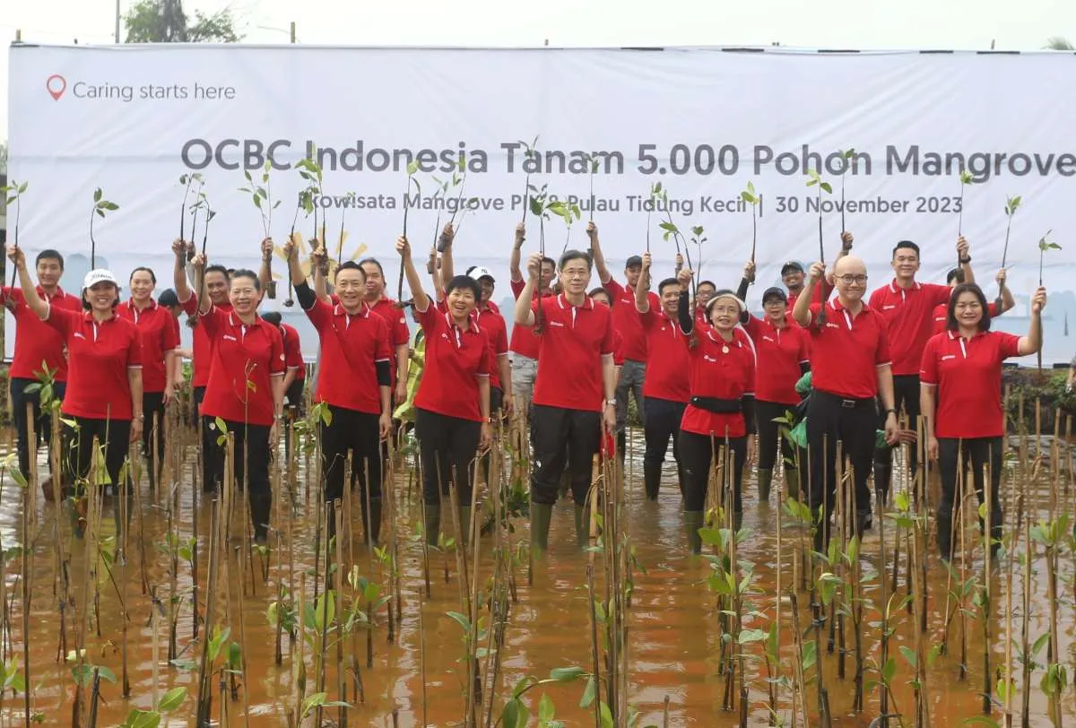 OCBC Indonesia Menanam 5000 Pohon Mangrove bersama Jakarta Mangrove Community 