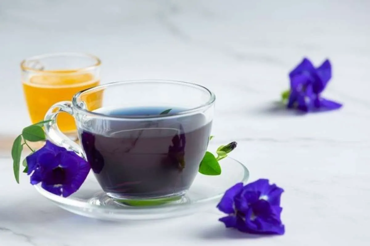 5 Teh yang Efektif Menurunkan Berat Badan Sekaligus Membakar Lemak Tubuh 