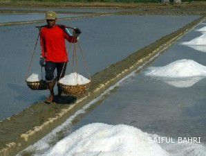 Produksi garam bisa mencapai 1,3 juta ton