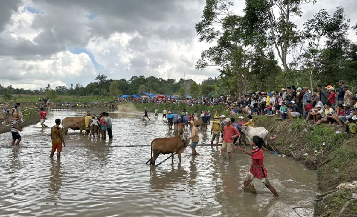 Ramalan Cuaca BMKG di Sumtara Barat, Jumat dan Sabtu, 17-18 Januari 2025