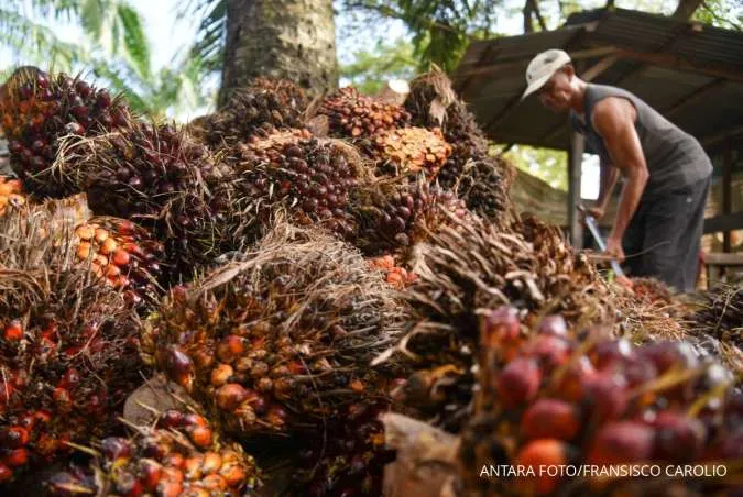 Indonesia Considers Regulating Crude Palm Oil Exports to Meet B50 Demand